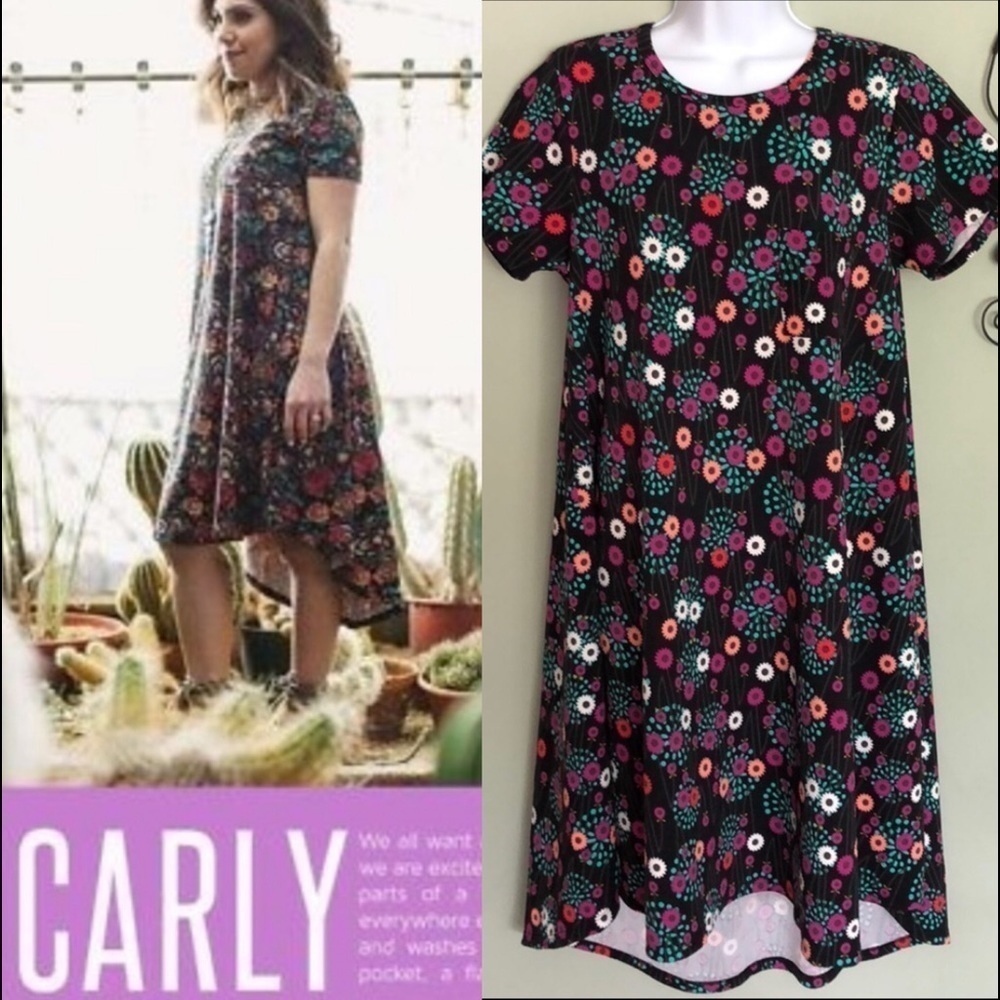 NWOT LulaRoe “Carly” Dress Size XS Floral Print Stretchy Career Office Casual